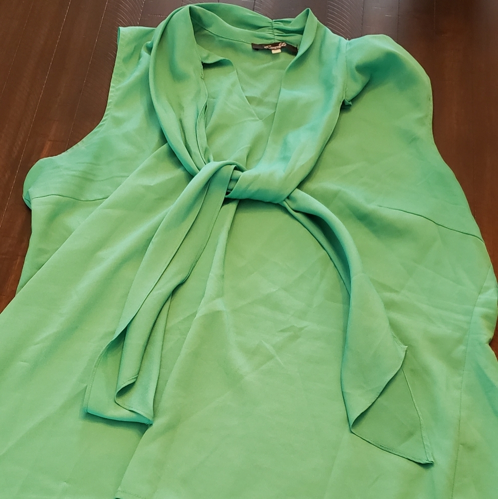 Essentials by Milano Green Tank